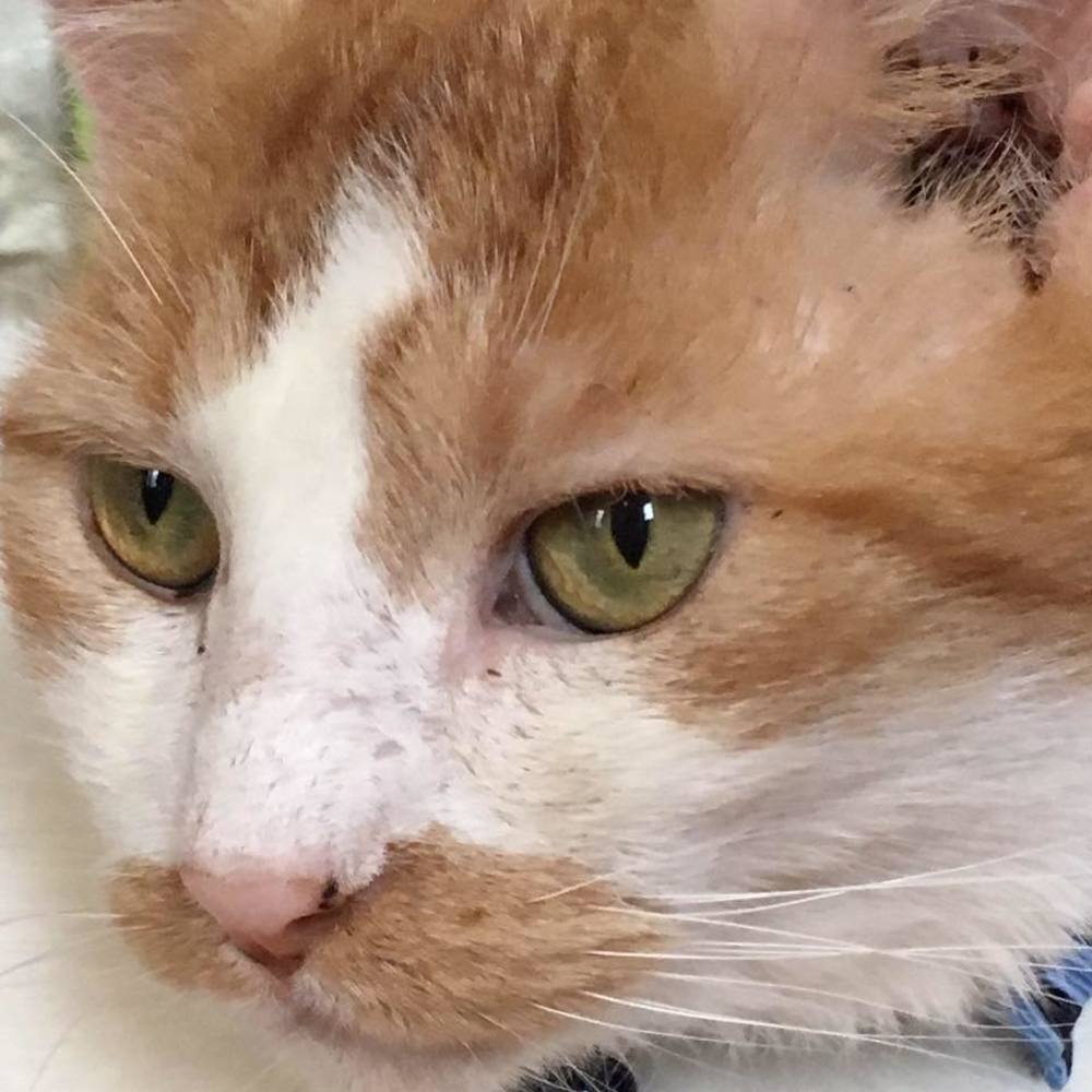 Meet your Posher, Maryanne